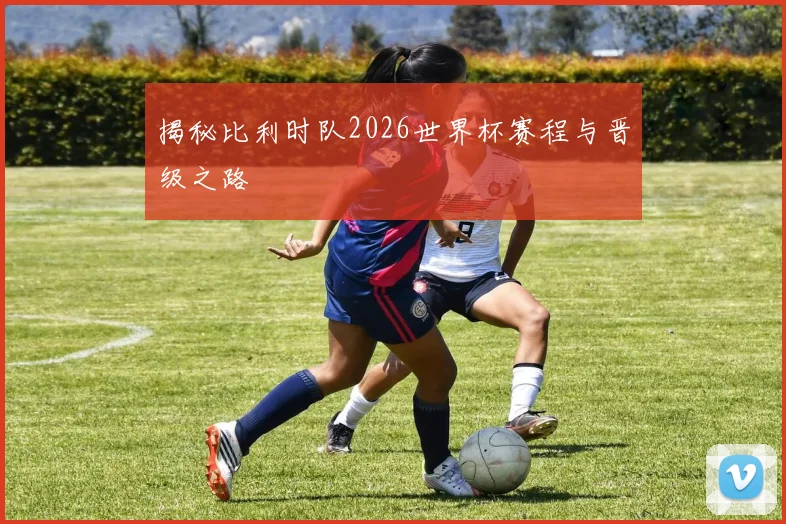 揭秘比利时队2026世界杯赛程与晋级之路